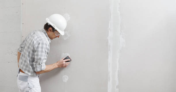 Best Industrial Mold Remediation  in Louisiana, MO