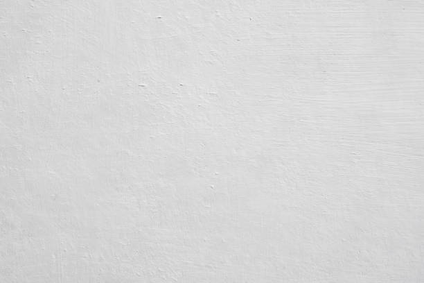 Best Emergency Mold Remediation  in Louisiana, MO