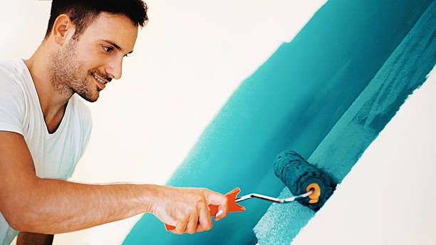 Best Basement Mold Removal  in Louisiana, MO